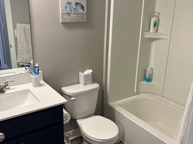 11180 Balsam Pointe Trl — Photo 17