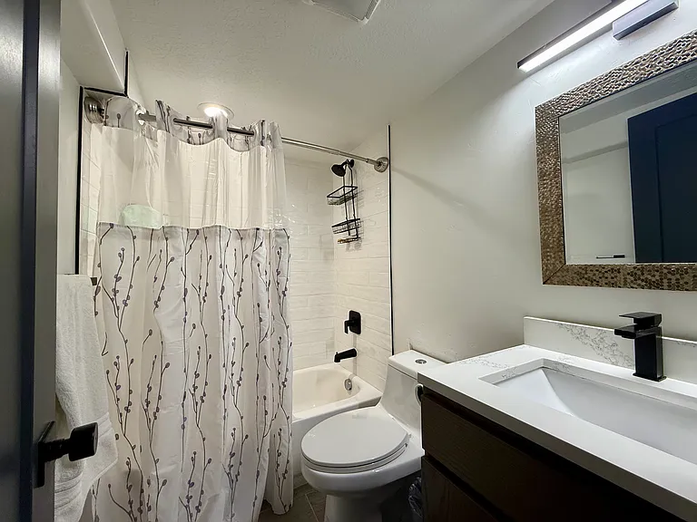 Downstairs Guest Bathroom