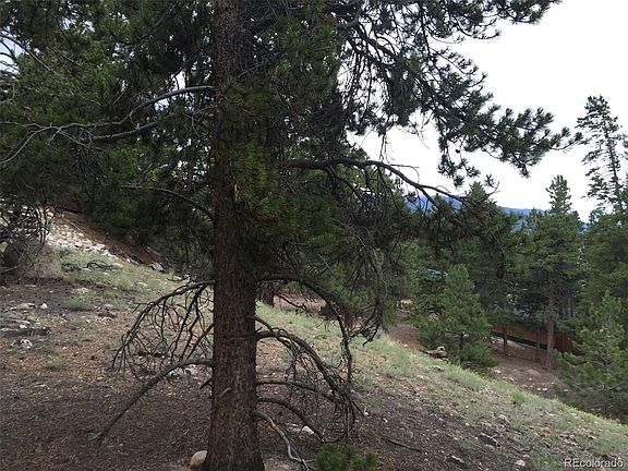 5th image of 464 Parry Peak Drive LOT 181r