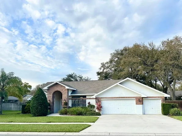 3931 Buckingham Loop Dr, Valrico, FL 33594