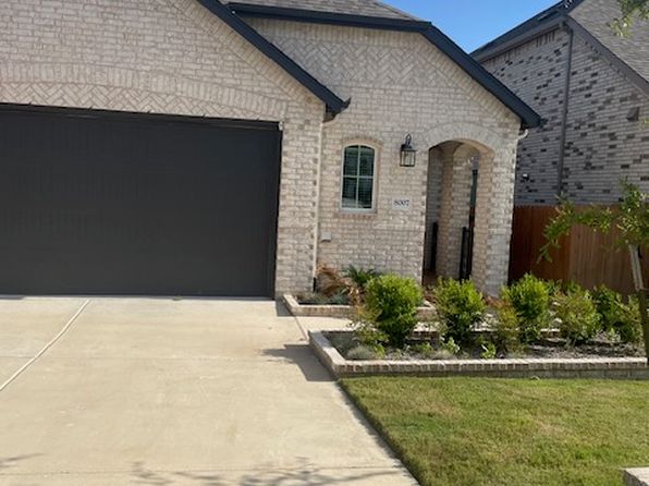 8007 Purple Aster Pass