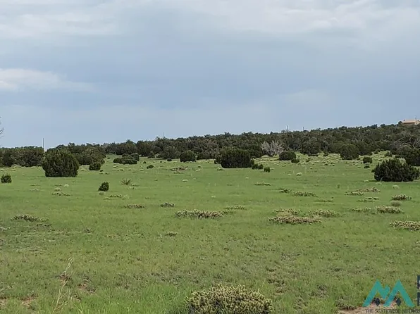 Old Ranch Rd, Quemado, NM 87829
