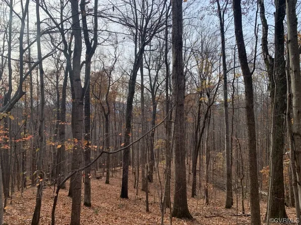 1673A Ennis Mountain Rd #A, Afton, VA 22920