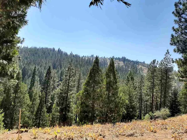 403 Big Grizzly, Portola, CA 96122