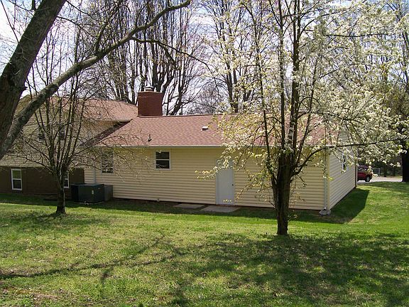 Large back yard & fruit tree