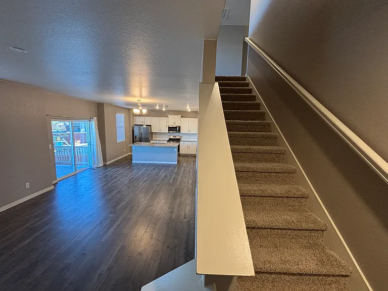 1955 Rose Petal Dr — Photo 17