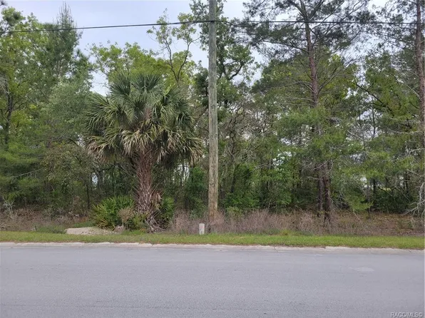 6927 W Merrivale Ln, Homosassa, FL 34446