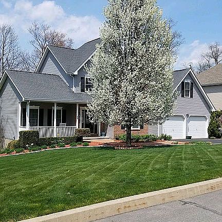 Large flowering front yard Tree