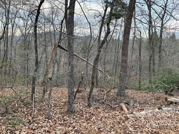 301 Otter Ln Lot 301, Lake Lure, NC 28746