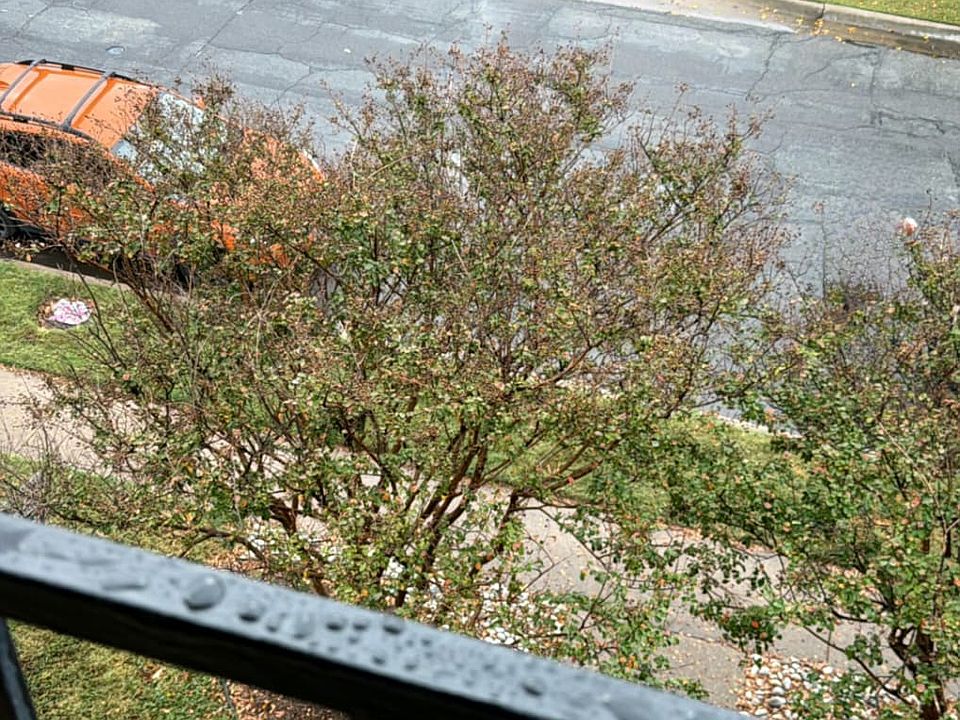 1st image of 1820 N Garrett Ave APT 101
