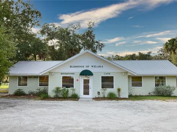 667 3rd Ave, Welaka, FL 32193