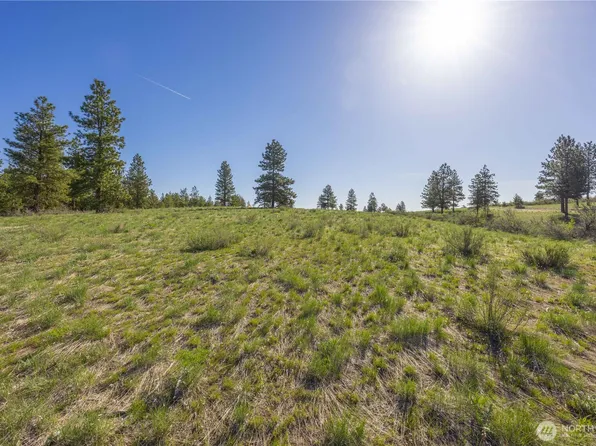 1058 L0T #8 BLAZING STAR Lane, Chelan, WA 98816