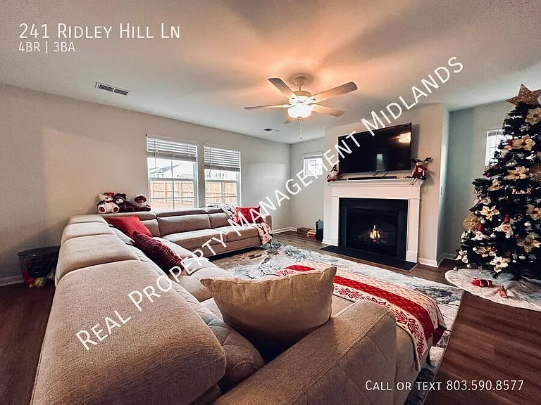 241 Ridley Hill Ln — Photo 7