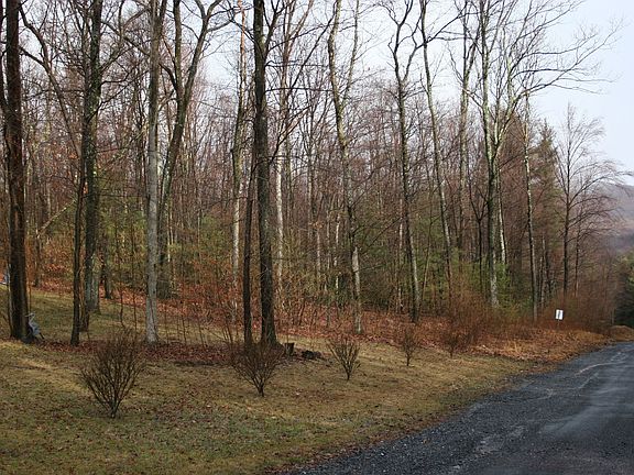 Wooded Area