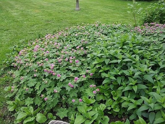 5th image of 1280 Dodd Rd