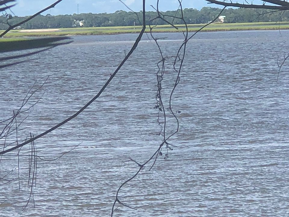 1st image of 16219 Shellcracker Rd