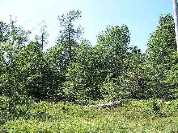 4th image of Pinewood Dr