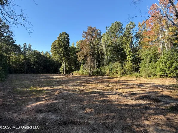 Bluff Springs Rd, Ackerman, MS 39735