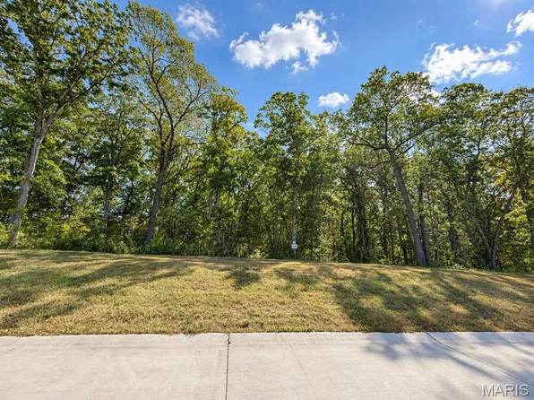 2 Forestdale Ln, Warrenton, MO 63383