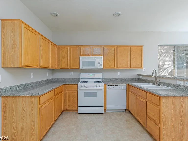 10972 N Scotch Rose St — Photo 16