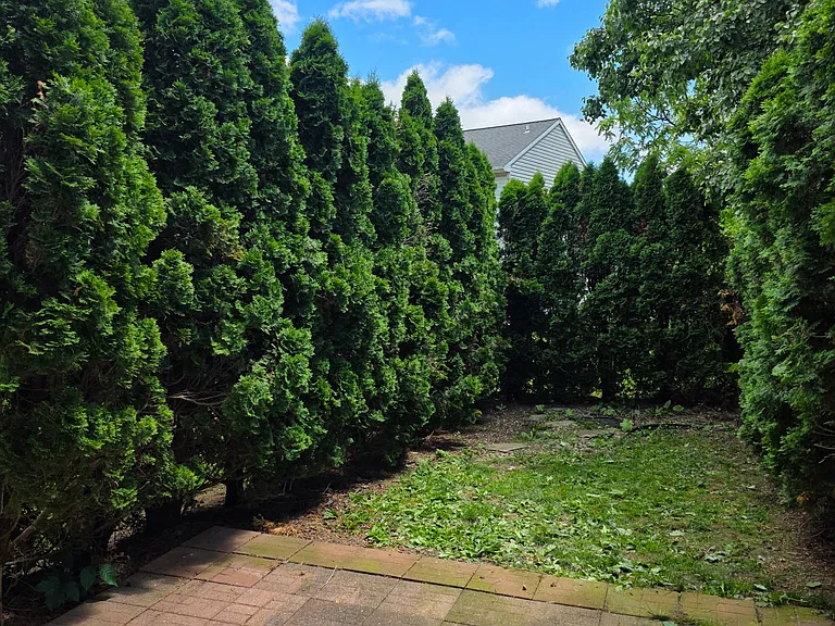 114 Millview Ct — Photo 17