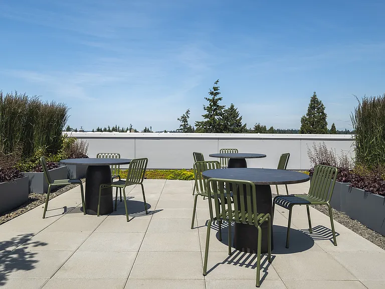 Amelia_Rooftop_20250605 (15)