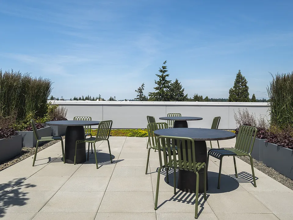 Amelia_Rooftop_20250605 (15)