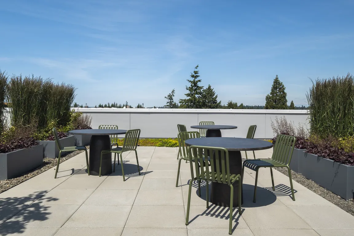 Amelia_Rooftop_20250605 (15)