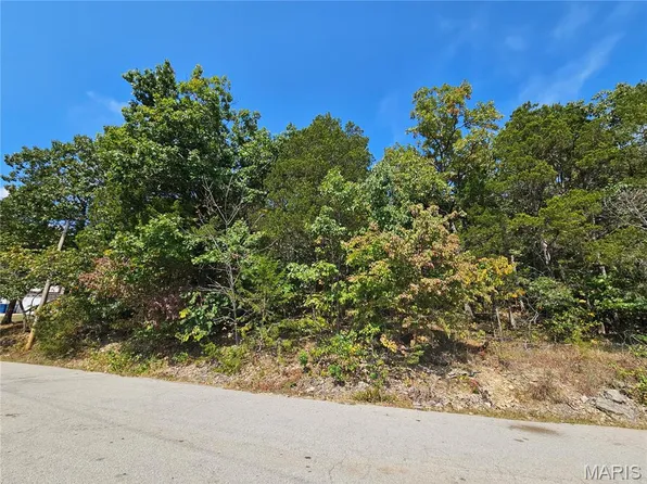 10129 Lake Ridge Dr, Hillsboro, MO 63050