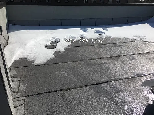 Rented by East Williamsburg Realty Inc | media 21