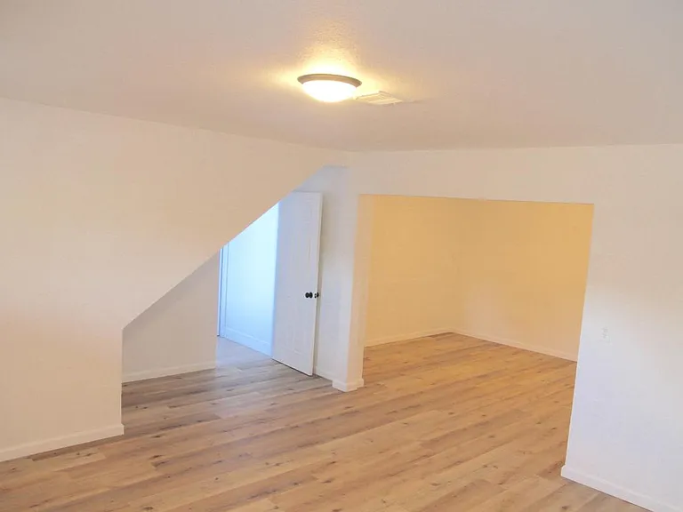 Downstairs Bonus Room