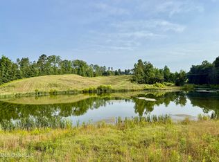 385 Albert McMillin Rd, Louisville, MS 39339