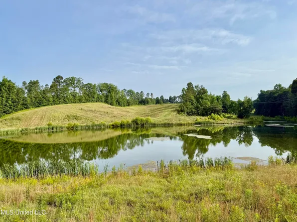 385 Albert McMillin Rd, Louisville, MS 39339