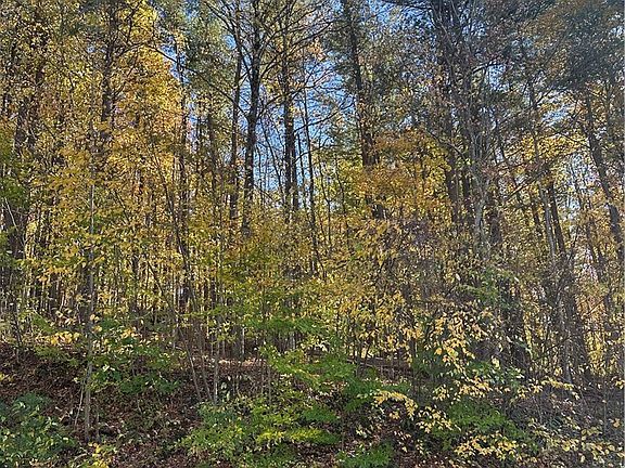 2nd image of 129 Hornbrook Rd