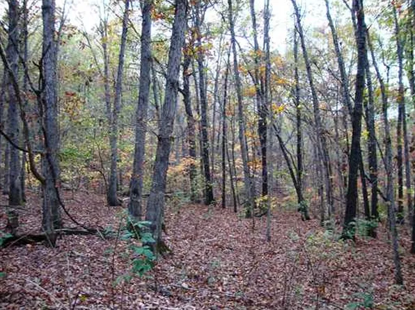 Scotter Ln, Bella Vista, AR 72714