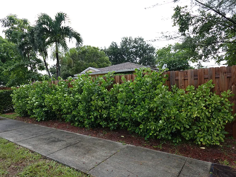 Front Side Walk.