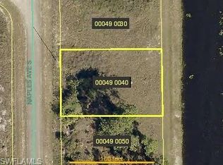 1131 Naples Ave S, Lehigh Acres, FL 33974