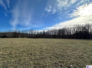 169 Sulphur Run Rd, Elk Horn, KY 42733