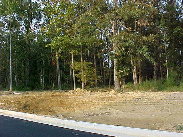 2nd image of 1003 Lilypad Cir SW