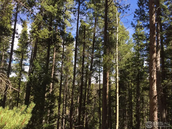 150 Saw Horse Ln, Black Hawk, CO 80422