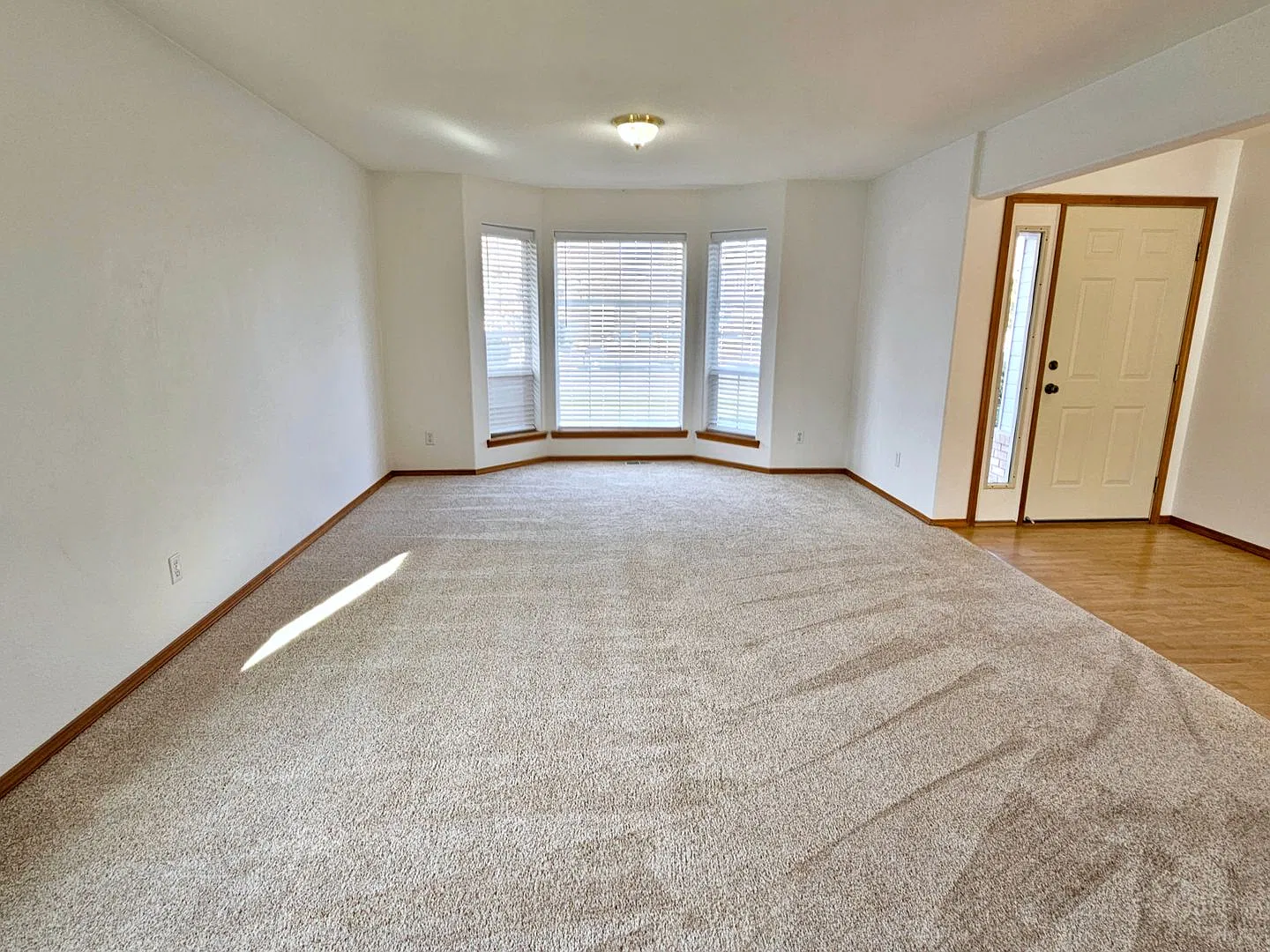 South Richland Rambler with Landscaping Included! — Photo 4