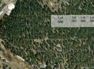 67 Larkspur, Evergreen, CO 80439