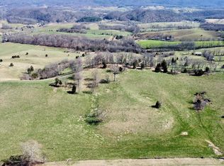 Monroe Rd, Meadowview, VA 24361