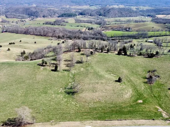 Monroe Rd, Meadowview, VA 24361