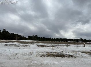 11971 Woodridge Ter, Colorado Springs, CO 80908