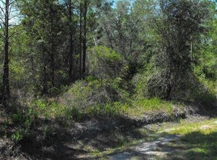 10625 Delgado Ave, Hastings, FL 32145