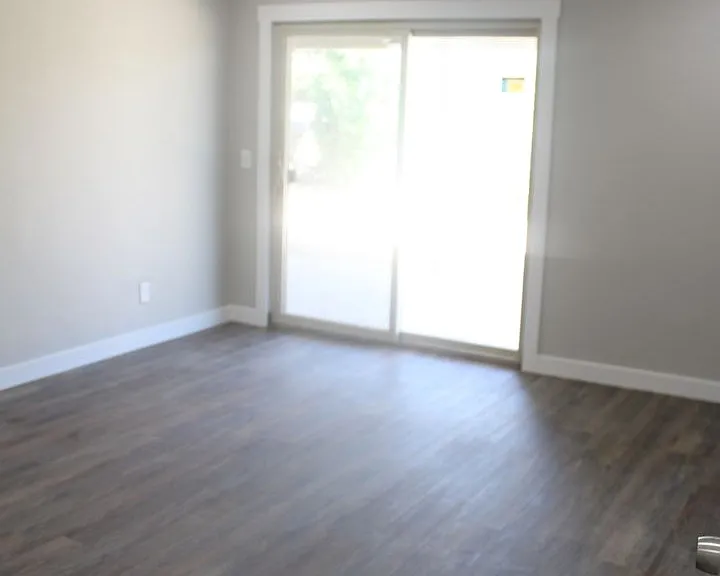 3133 Fierro Dr — Photo 18