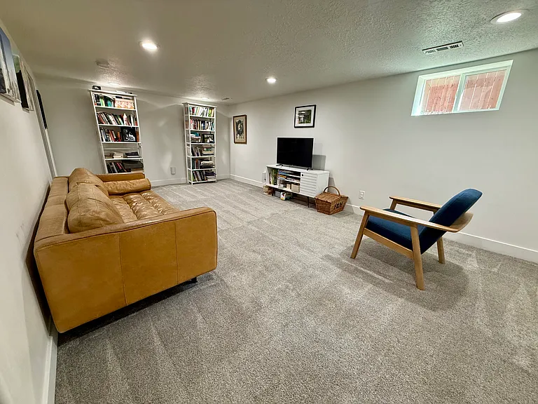 Downstairs Family Room