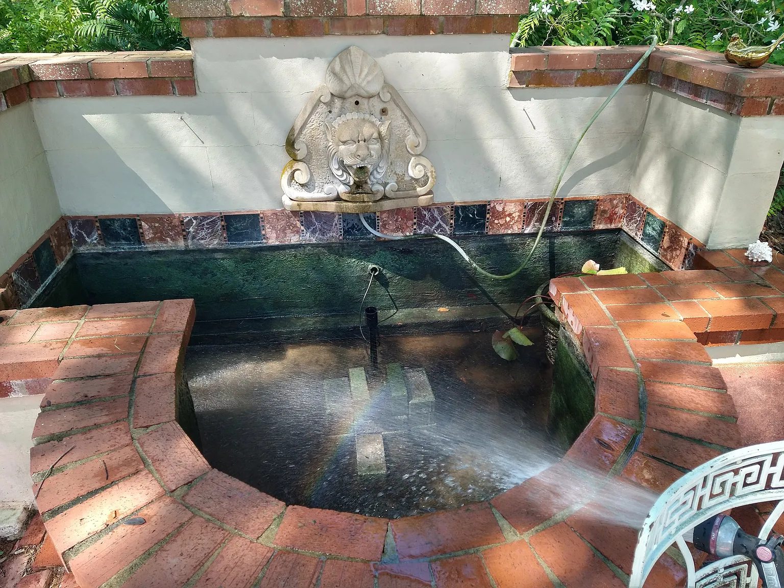 Carolina Ave, Gotha — Photo 4