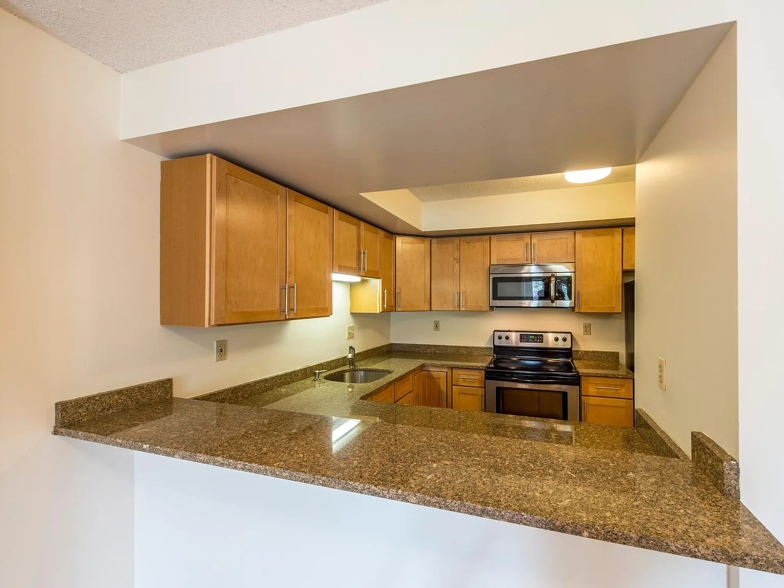 2 bed, 1000 sqft, $3,500 — Photo 3